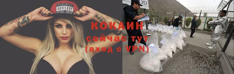 блэк спрут зеркало  Горняк  Cocaine 99% 